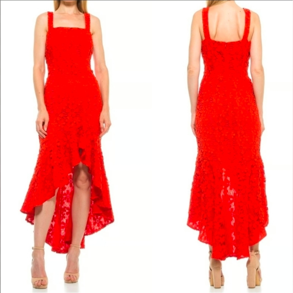 All Over Lace Alexia Admor Size 4 Sylvana Lace High-Low Dress with Ruffle Split